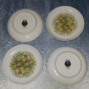 Noritake Younger Image China Japan Bimini 6923 Set of 4 small Plates NWOB